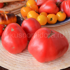 Tomato Bull