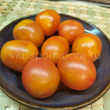 Tomato Karma meruňka (Karma Apricot), 5 semen