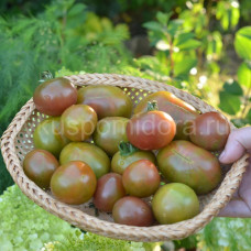 Tomato Karma zázrak (Karma Miracle), 5 semen