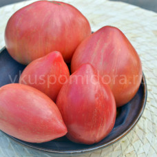 Tomato Dwarf Electric Pink, 5 semen