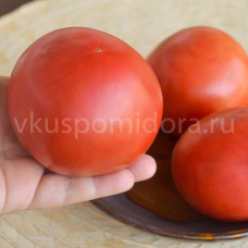 Tomato Dwarf Hoskins-Barger, 5 semen