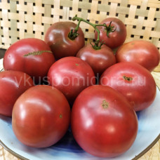 Tomato Dwarf Vinces Haze, 5 semen