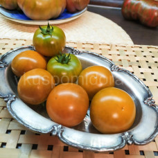 Náplast Tomato Dwarf Soul, 5 semen