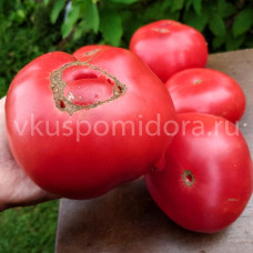 Томат Античная роза Сардинии (Rosa Antica della Sardegna), 8 семян