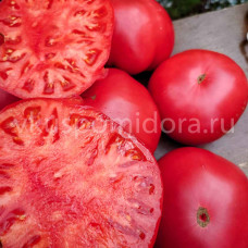 Томат Античная роза Сардинии (Rosa Antica della Sardegna), 8 семян