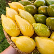 Томат Белая пипочка, 8 семян