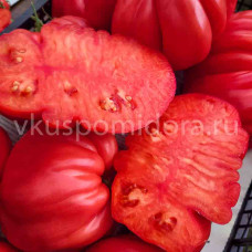 Томат Бифштекс Альби (Beefsteak Albi), 8 семян