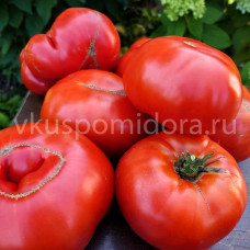 Томат Чудо Рохемона (Merveille de Rochemont), 8 семян