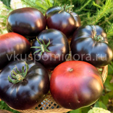 Томат Чёрная красавица (Black Beauty), 8 семян