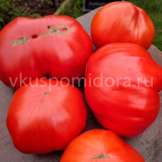 Томат Домашний тёти Катики (Domaca Teta Katica), 8 семян