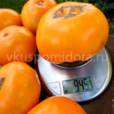 Томат Гора Тришка оранжевая (Trška Gora Orange), 8 семян