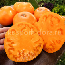 Томат Гора Тришка оранжевая (Trška Gora Orange), 8 семян
