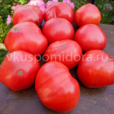 Томат Кардио (Cardio), 8 семян