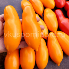 Томат Королевский палец оранжевый (Royal Orange Finger), 8 семян