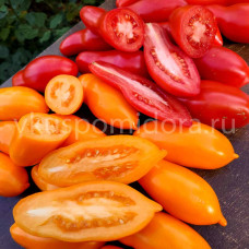 Томат Королевский палец оранжевый (Royal Orange Finger), 8 семян