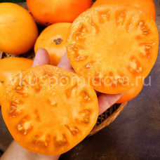 Томат Кошачья лапка желтая (Bean Paw Yellow), 8 семян