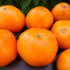 Томат Козула 99/1 (Kozula 99/1), 8 семян