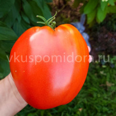 Томат Красное сердце (от Н. Борисовны), 8 семян
