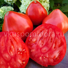 Томат Красное сердце тёти Иванки (Inima Rosie Tanti Ivanca), 8 семян