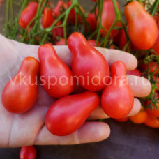 Томат Куматильда розовая, 8 семян