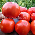 Томат Мясник красный, 8 семян