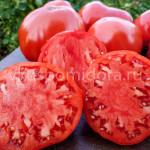 Томат Мясник красный, 8 семян
