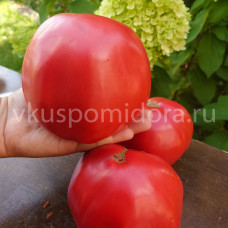 Томат Мясник розовый, 8 семян