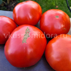 Томат Обломок скалы из Мальграте (Pietrone di Malgrate), 8 семян