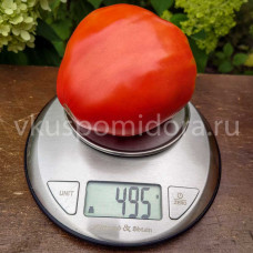 Томат Огромная слива (Enormous Plum), 8 семян