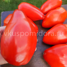 Томат Паста Нэллы (Nella Paste), 8 семян