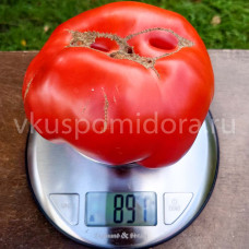 Томат Подарок мужа, 8 семян