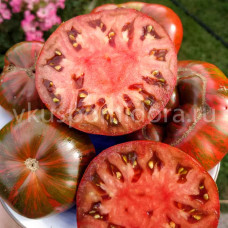 Томат Полосатый шоколад (Chocolate Stripes), 8 семян