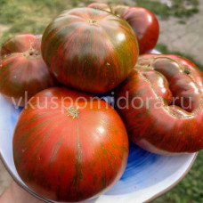Томат Полосатый шоколад (Chocolate Stripes), 8 семян