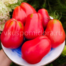 Томат Пурпурная груша Брендивайн (Purple Pear Brandywine), 8 семян