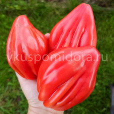 Томат Пылающий (Fiammante), 8 семян