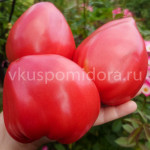 Томат Розалинда из Бребу (Rosalinda de Brebu), 8 семян
