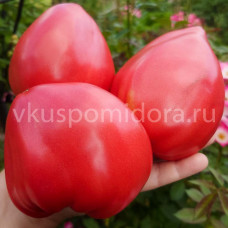 Томат Розалинда из Бребу (Rosalinda de Brebu), 8 семян
