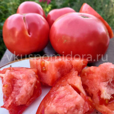 Томат Рубцовский гранёный , 8 семян