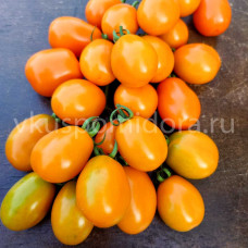 Томат Сан Марцано Иса (San Marzano Isa), 8 семян