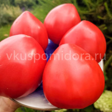 Томат Сербское сердце (Serbian Oxheart), 8 семян