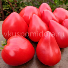Томат Сердце Анжелины (Angelina's Heart), 8 семян