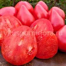 Томат Сердце Анжелины (Angelina's Heart), 8 семян