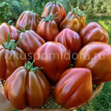 Томат Шоколадная клубника (Fragole al Cioccolate), 8 семян