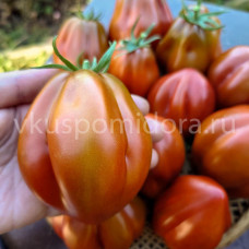 Томат Шоколадная клубника (Fragole al Cioccolate), 8 семян