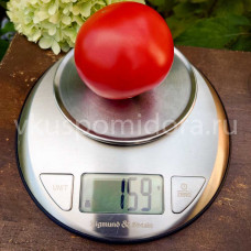 Томат Штраух (Strauchtomaten), 8 семян