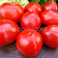 Томат Штраух (Strauchtomaten), 8 семян