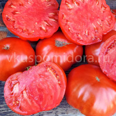 Томат Толстяк Робутти (Robutti Grosso), 8 семян
