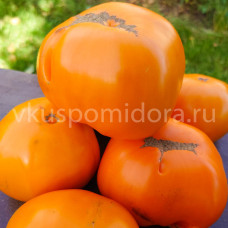 Томат Жёлтый из Кабанска от бабы Тони, 8 семян