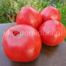 Томат Дедушкино бычье сердце, 8 семян