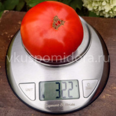 Томат Дворцовый, 8 семян